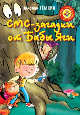 Николай Тёмкин СМС-загадки от Бабы Яги обложка книги