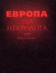Карен Свасьян - Европа. Два некролога