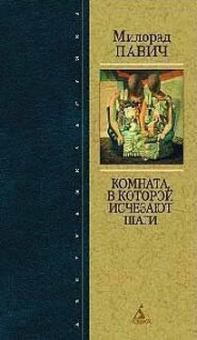 Милорад Павич Страшные любовные истории обложка книги