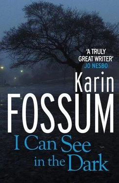 Karin Fossum I Can See in the Dark обложка книги