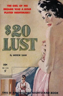 Andrew Shaw $20 Lust обложка книги