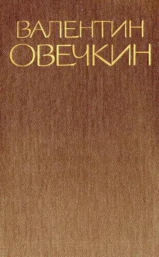 Валентин Овечкин Том 2 обложка книги