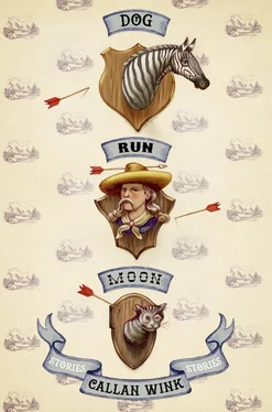 Callan Wink Dog Run Moon обложка книги
