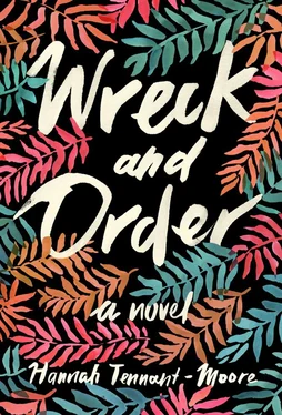 Hannah Tennant-Moore Wreck and Order обложка книги