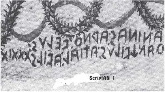 ANINAS ADNO FELVS OAN FILVS ATIAL AFILS XXXIX ANINAS Ани - фото 116