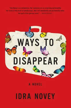 Idra Novey Ways to Disappear обложка книги