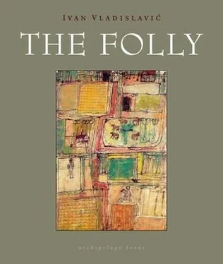 Ivan Vladislavić The Folly обложка книги