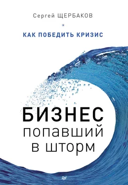 Сергей Щербаков Бизнес, попавший в шторм. Как победить кризис обложка книги