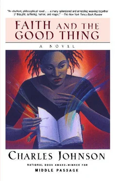 Charles Johnson Faith and the Good Thing обложка книги