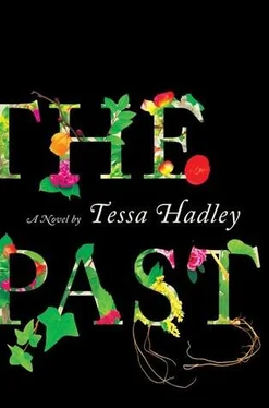 Tessa Hadley The Past обложка книги