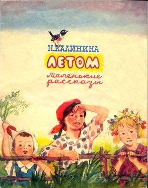 Надежда Калинина Летом обложка книги