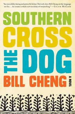 Bill Cheng Southern Cross the Dog обложка книги