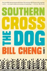 Bill Cheng - Southern Cross the Dog