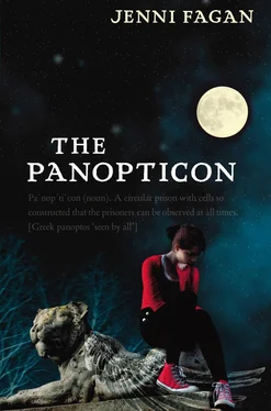 Jenni Fagan The Panopticon обложка книги