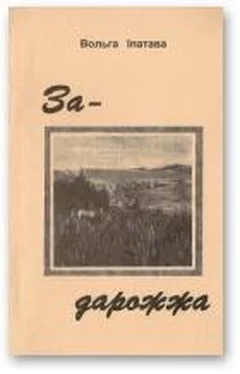 Вольга Іпатава Задарожжа обложка книги