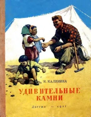 Надежда Калинина Удивительные камни обложка книги