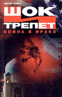 Сергей Лойко Шок и трепет. Война в Ираке обложка книги