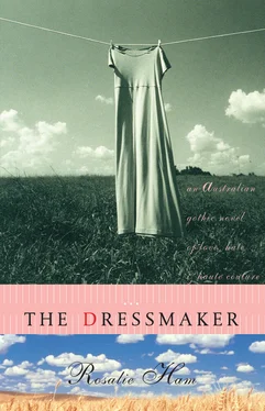 Rosalie Ham The Dressmaker обложка книги