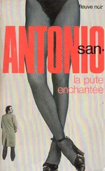 Frédéric Dard - La pute enchantée