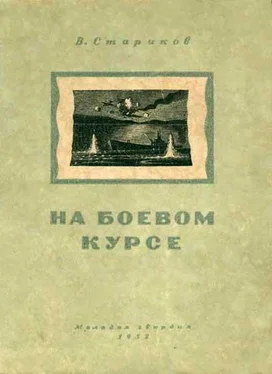 Валентин Стариков На боевом курсе обложка книги