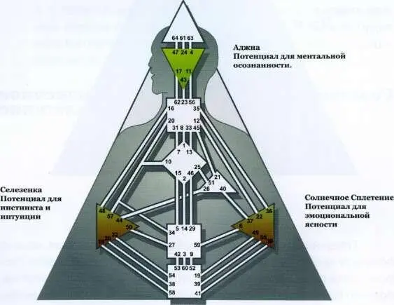 Теменной центр в дизайне