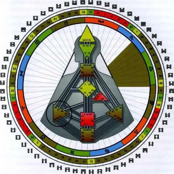 Хьюман дизайн авторитет сакральный