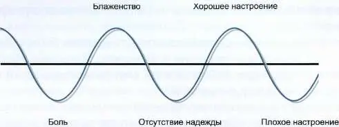 В общем описании этого центра мы говорили что он тесно связан с брюшным мозгом - фото 37