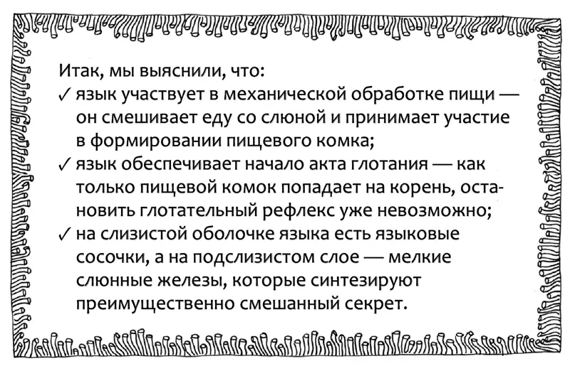 Кроме того благодаря наличию механических и вкусовых рецепторов язык является - фото 5
