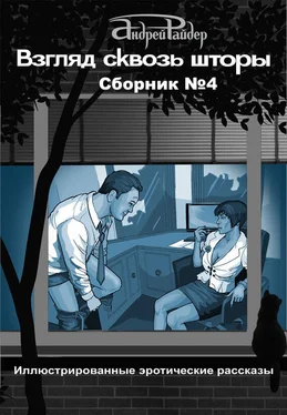 Андрей Райдер Взгляд сквозь шторы. Сборник № 4. 25 пикантных историй, которые разбудят ваши фантазии обложка книги