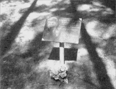 Условная могила Бориса Корнилова Май 2011 года Электропоезд Поэт Борис - фото 37