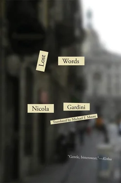 Nicola Gardini Lost Words обложка книги