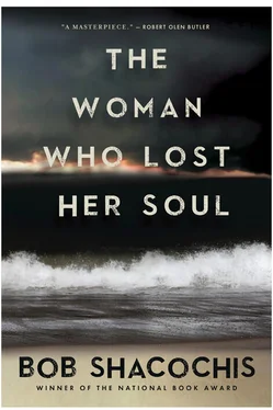 Bob Shacochis The Woman Who Lost Her Soul обложка книги