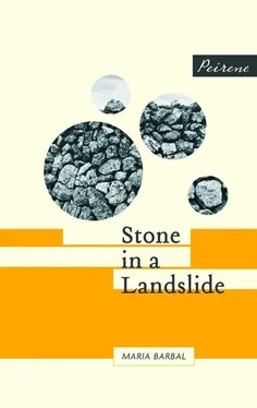 Maria Barbal Stone in a Landslide обложка книги