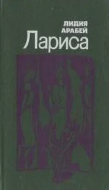 Лидия Арабей Лариса обложка книги