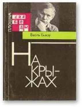 Васіль Быкаў На крыжах обложка книги