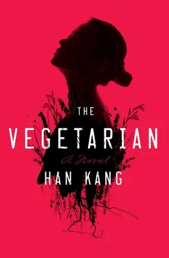 Han Kang The Vegetarian обложка книги