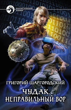 Григорий Шаргородский Чудак. Неправильный вор обложка книги