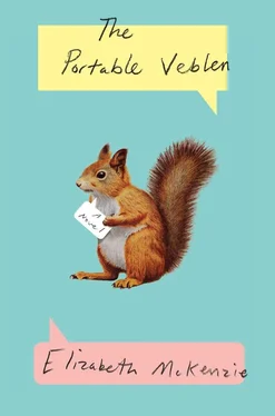 Elizabeth McKenzie The Portable Veblen обложка книги