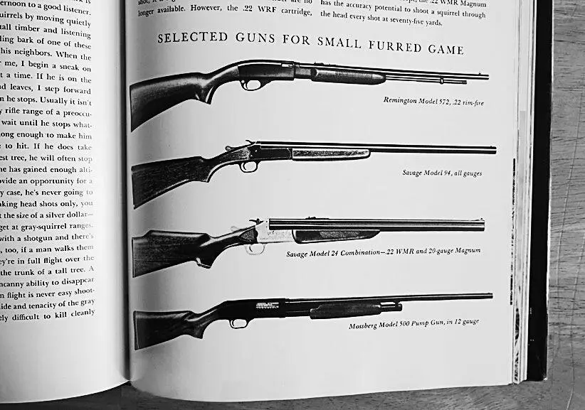 SELECTED GUNS FOR SMALL FURRED GAME Despite this aura of neighborliness - фото 1