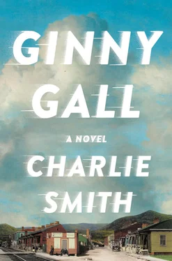 Charlie Smith Ginny Gall обложка книги