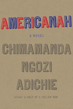 Chimamanda Adichie Americanah обложка книги