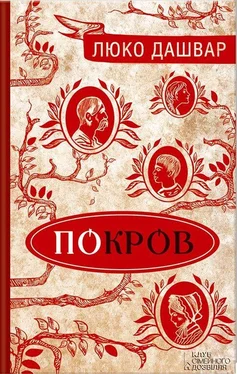 Люко Дашвар Покров обложка книги