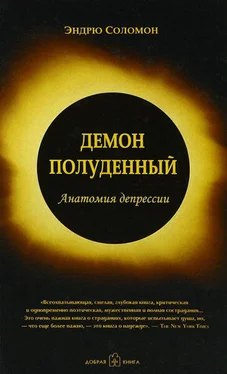 Эндрю Соломон Демон полуденный. Анатомия депрессии обложка книги