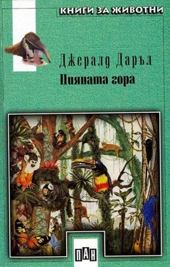 Джералд Даръл Пияната гора обложка книги
