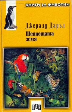 Джералд Даръл Шепнещата земя обложка книги