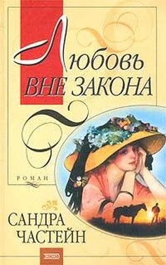 Сандра Частейн Любовь вне закона обложка книги