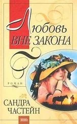 Сандра Частейн - Любовь вне закона