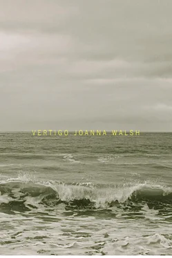 Joanna Walsh Vertigo обложка книги