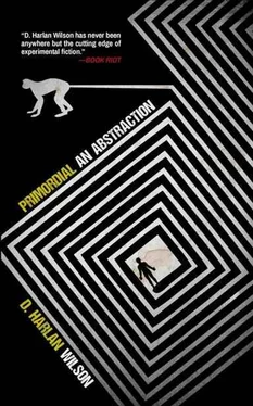 D. Wilson Primordial: An Abstraction обложка книги