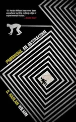 D. Wilson - Primordial - An Abstraction